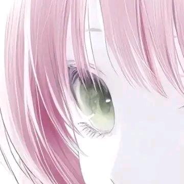 花瓣绽开撒了一地