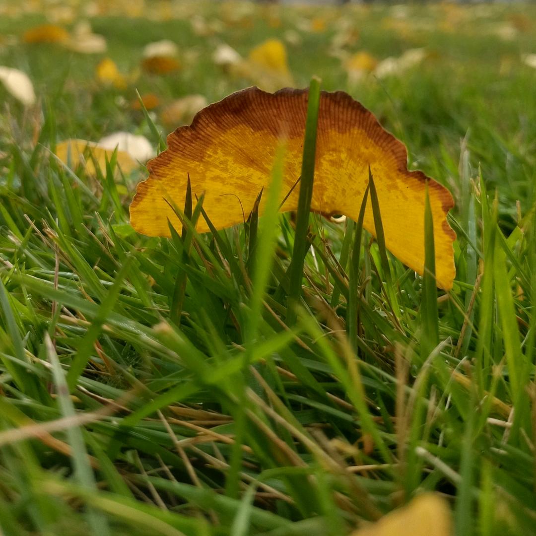最夜风🌈🌈🌈