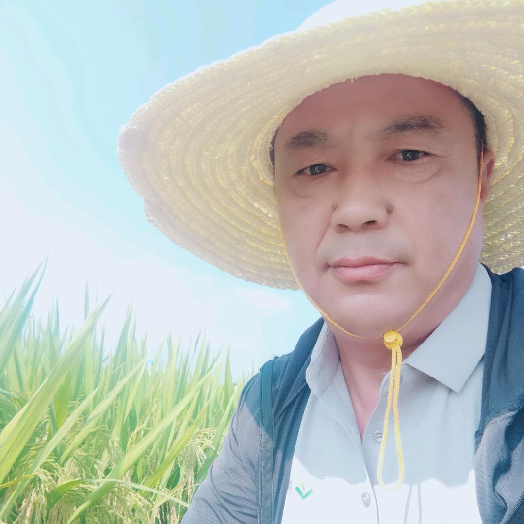 超哥农资[商品在橱窗]