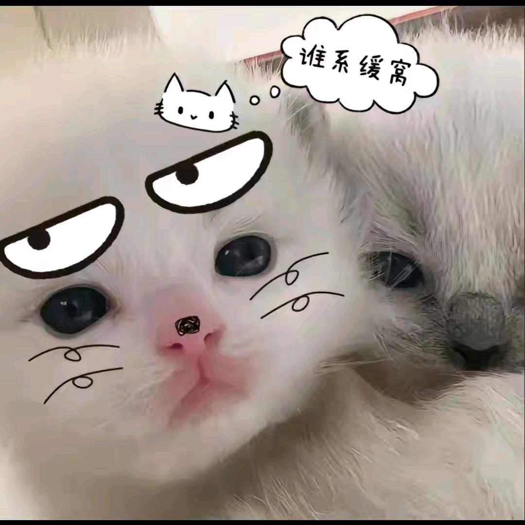 ·양양⁺⑅