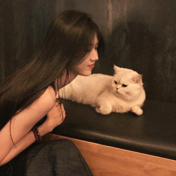 Kitty🐱