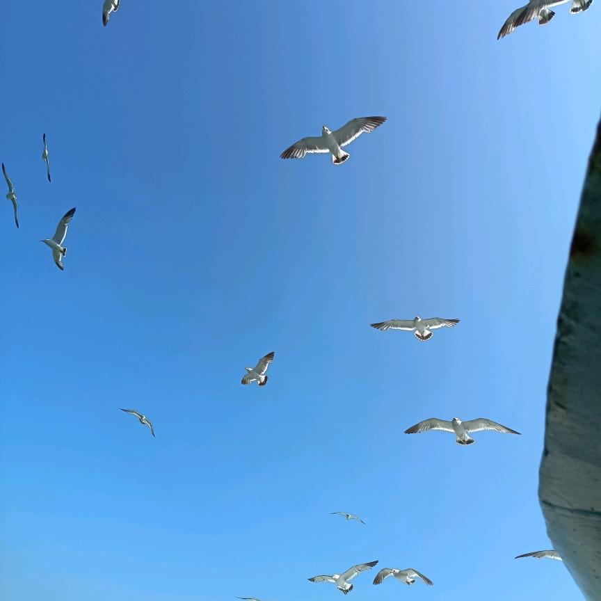 张涛（70）