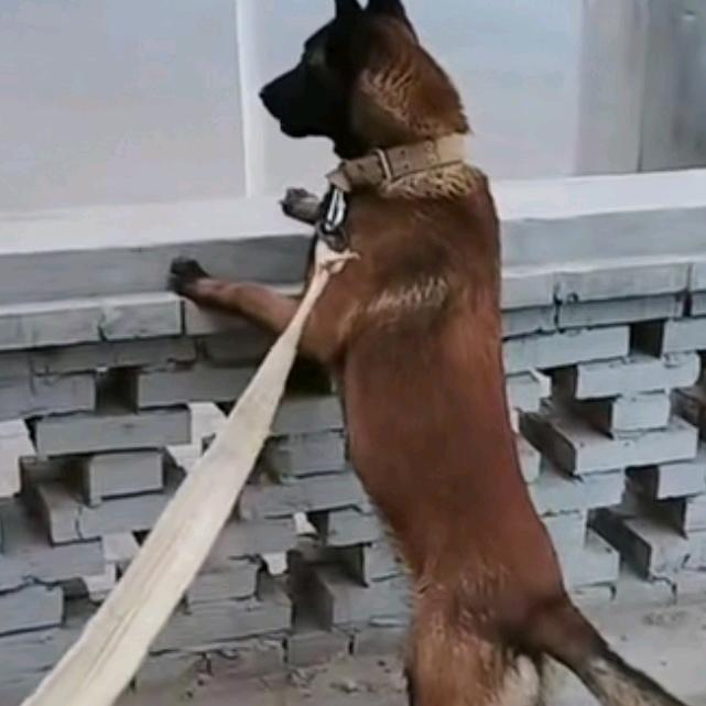 永远