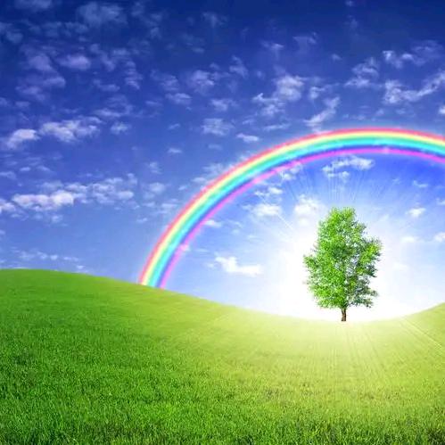 🌈
