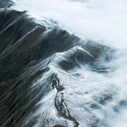 心之所向。