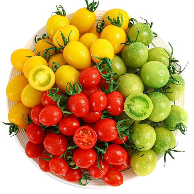 寿光市鑫乐果蔬专业合作社