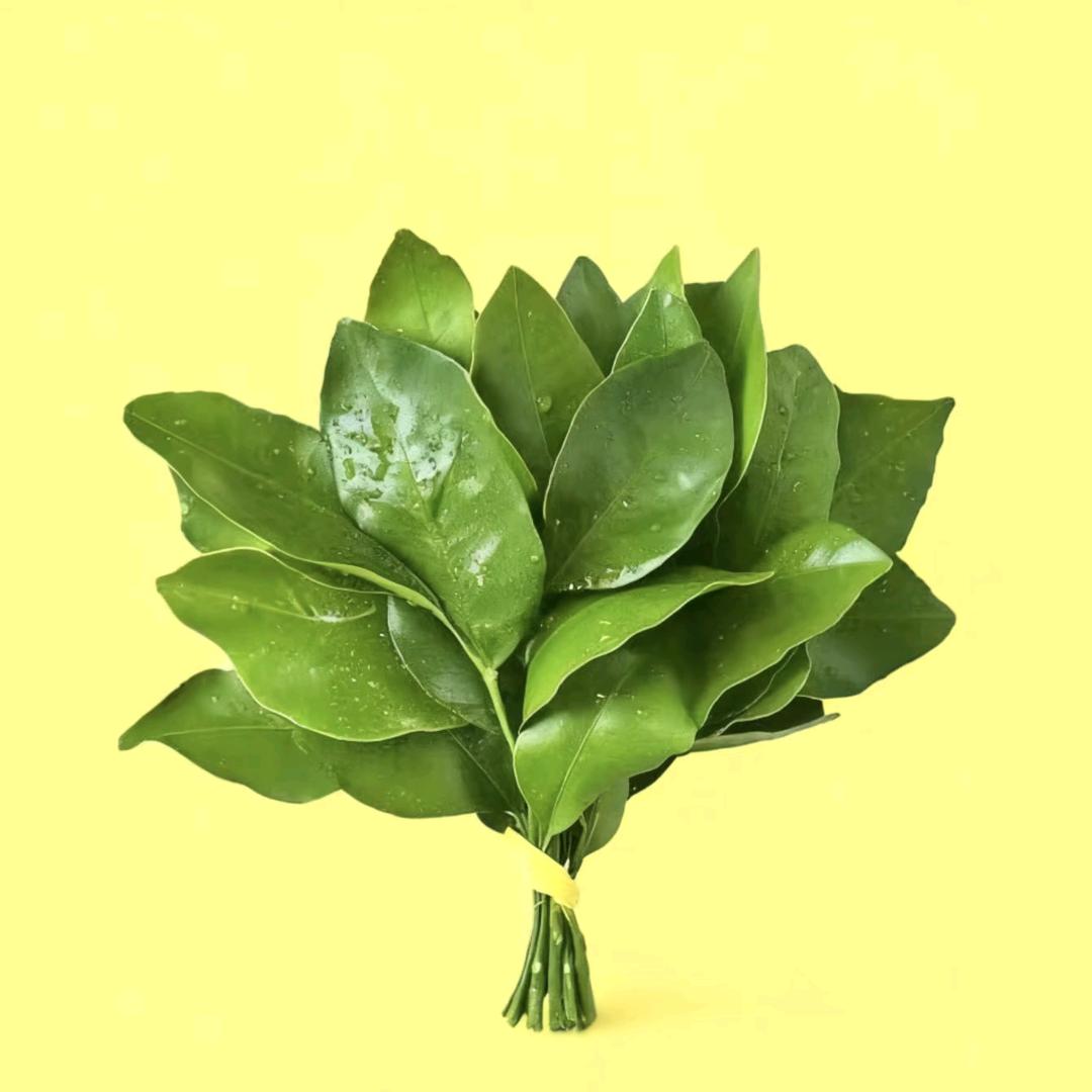 小侯小侯～万事不愁