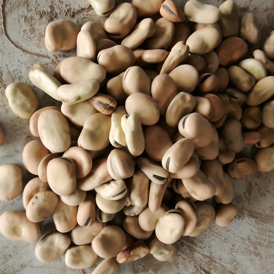 甘肃丰达农产品专业合作社