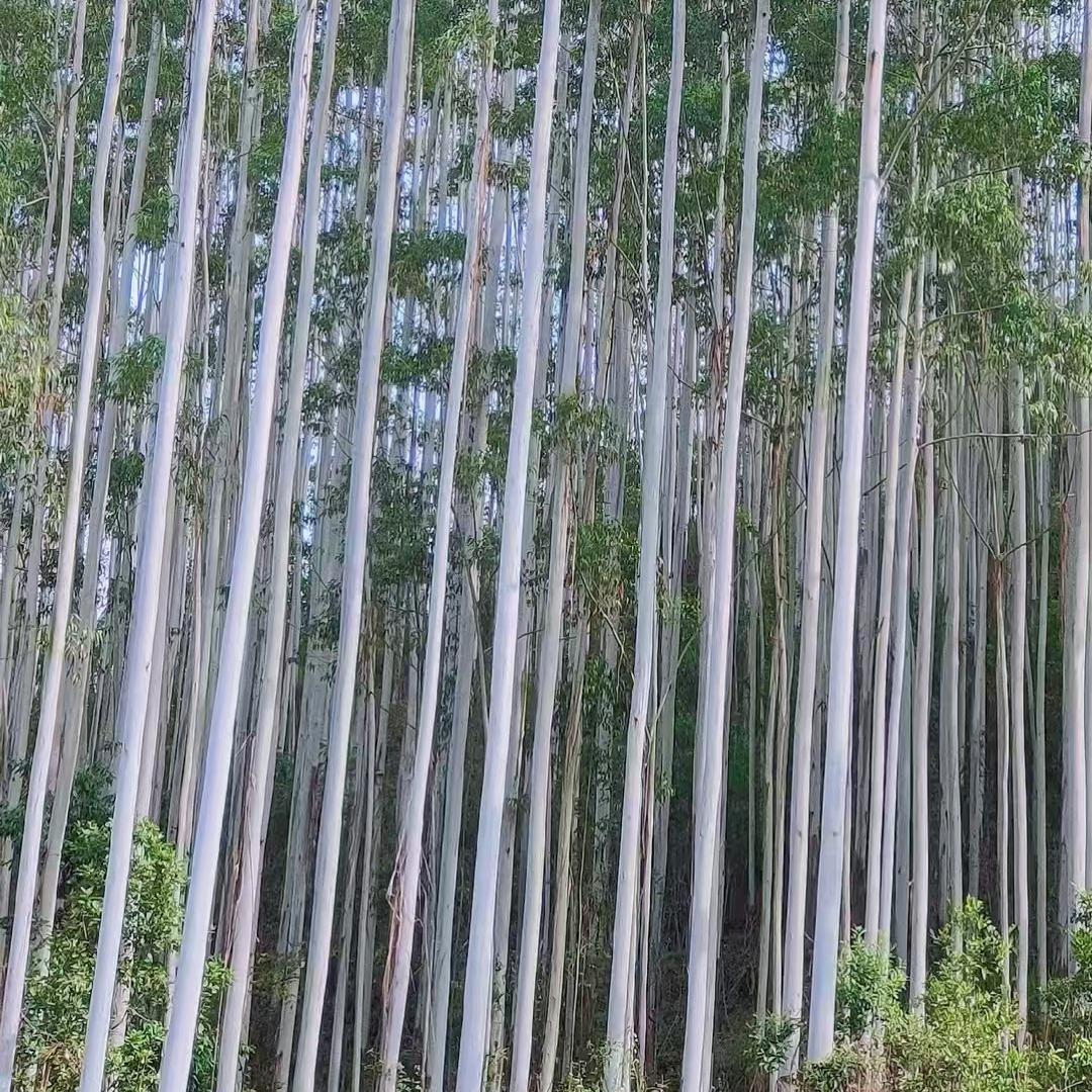 富宁永珍劳务有限公司。