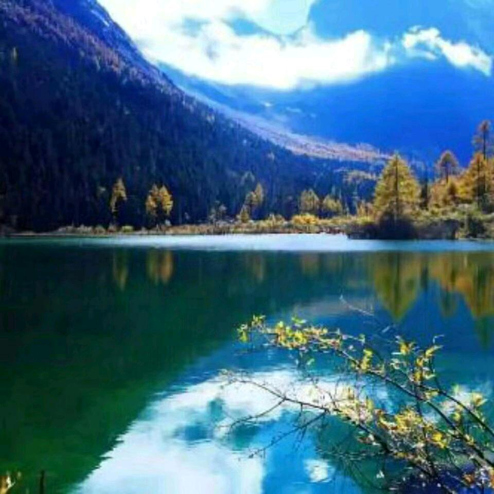 峰哥(好物分享)