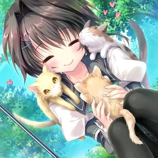 用户5211