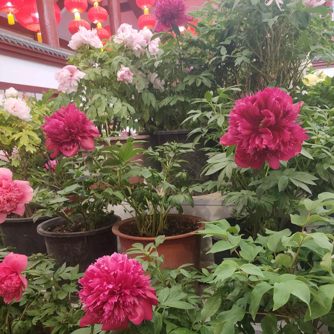 今生有缘