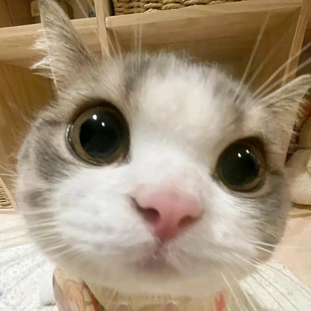 阿臊