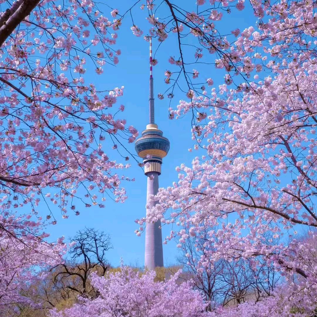 轩宝