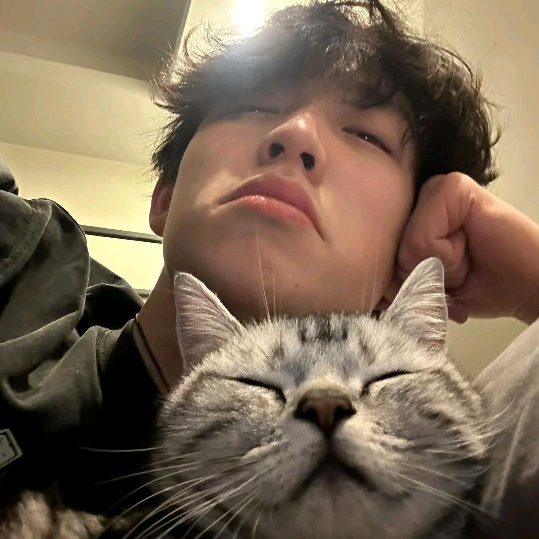 猪脚饭仙人