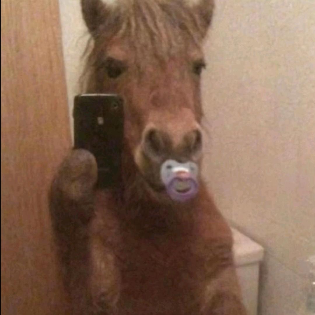 蓝施神会会长会保佑每一个出门在外的小蓝施