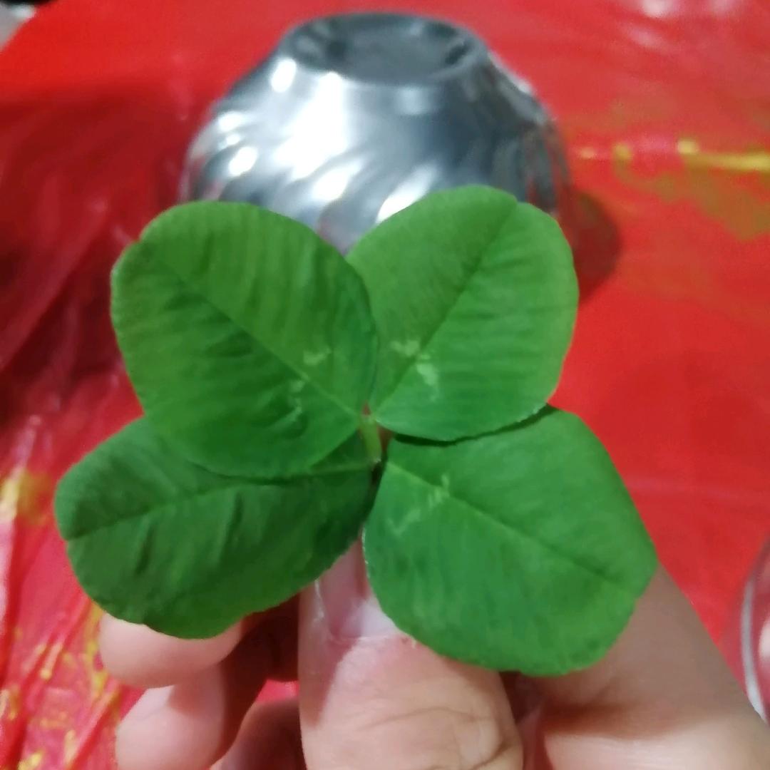 越努力越幸运