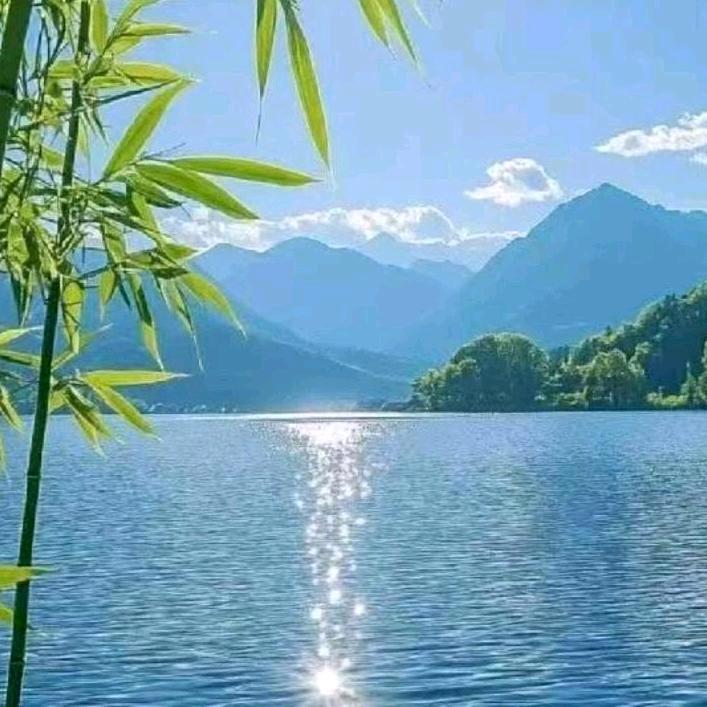 平平淡淡