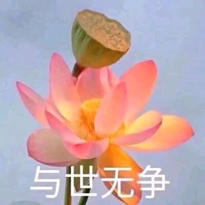 刘 .