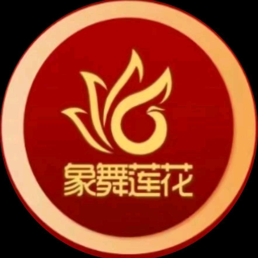 象舞西安总代