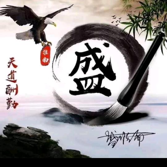 盛满意