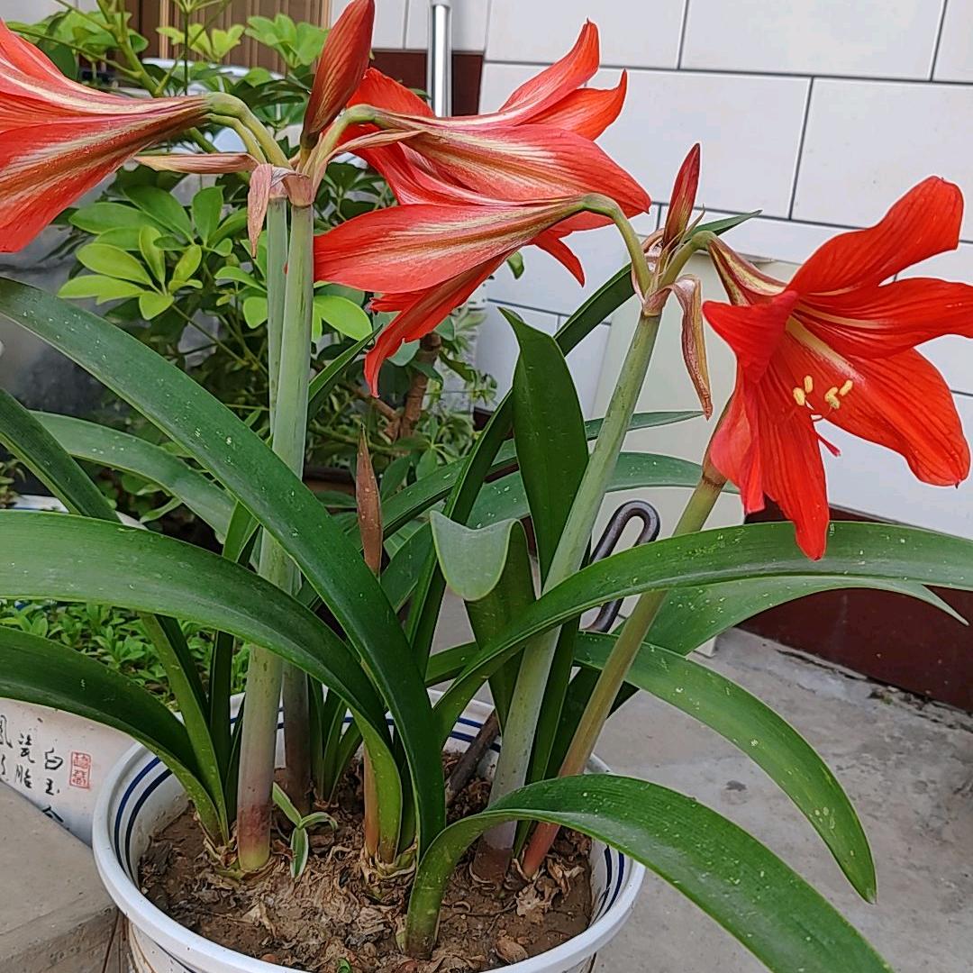岁月静好