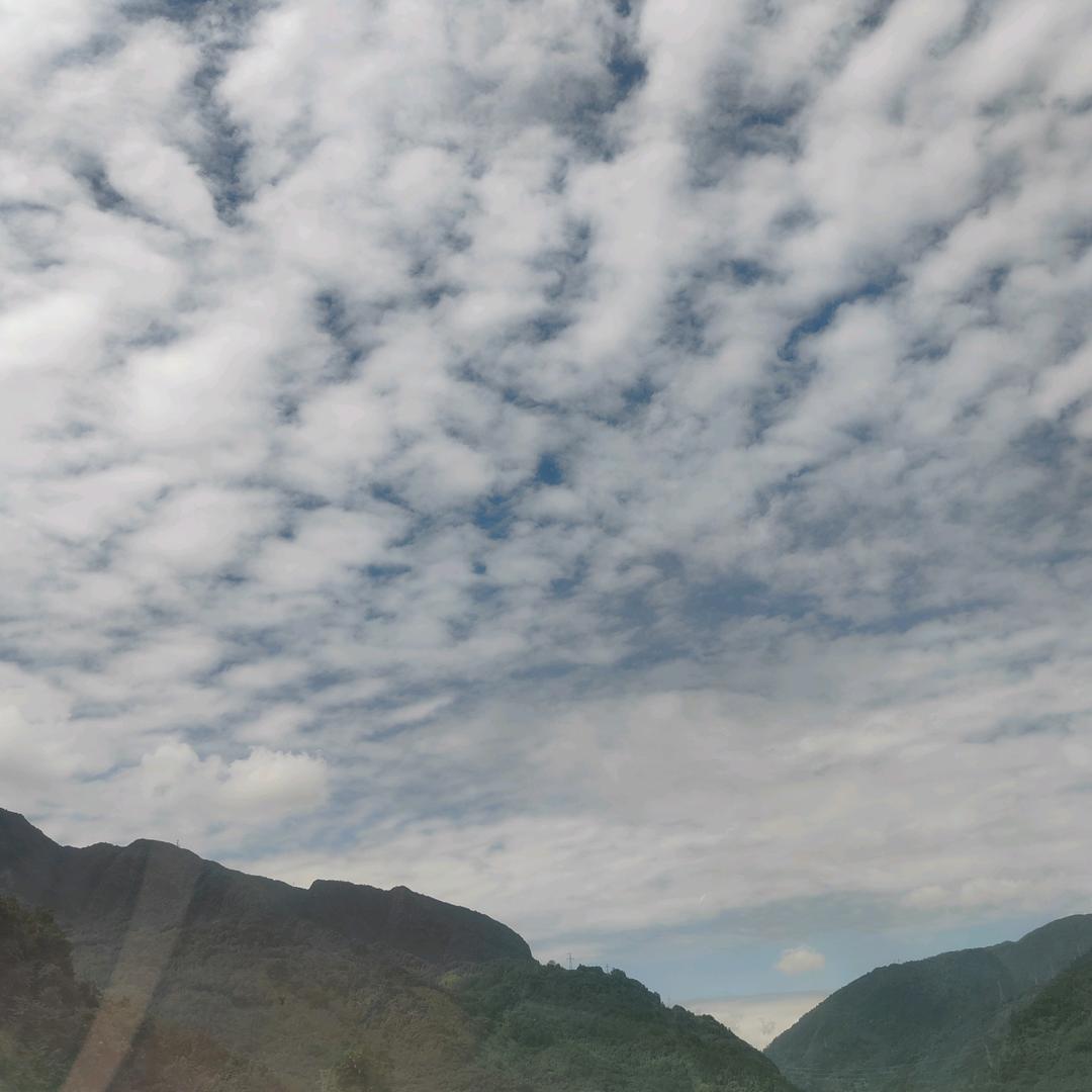 爱唱歌🎤的小杨