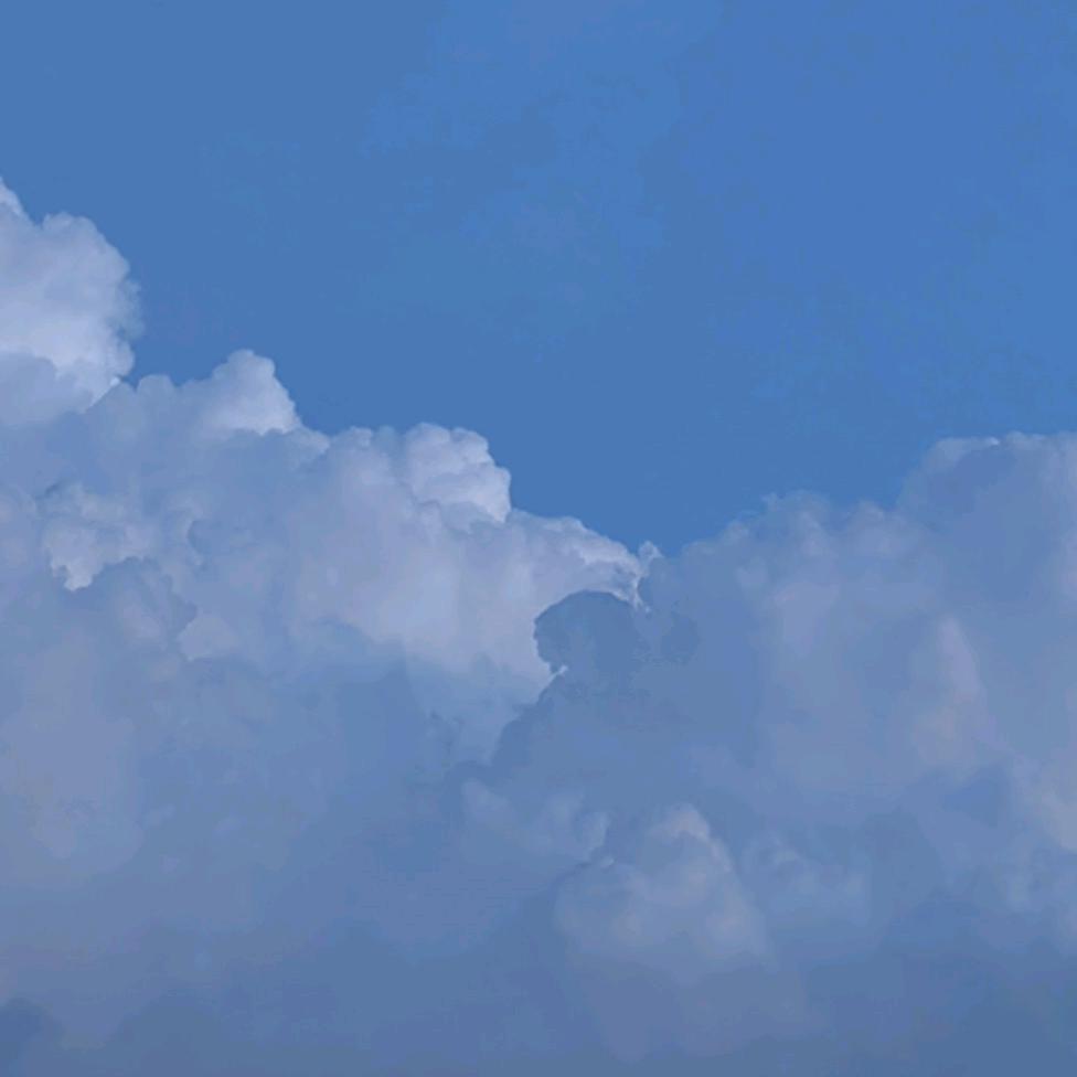 流量王