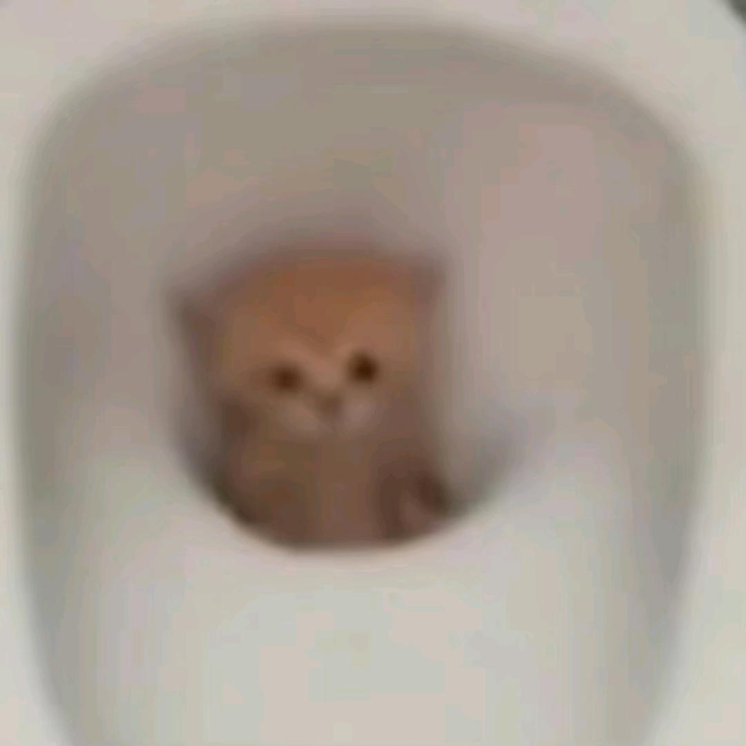 胡图图我刚买的巧克力呢？