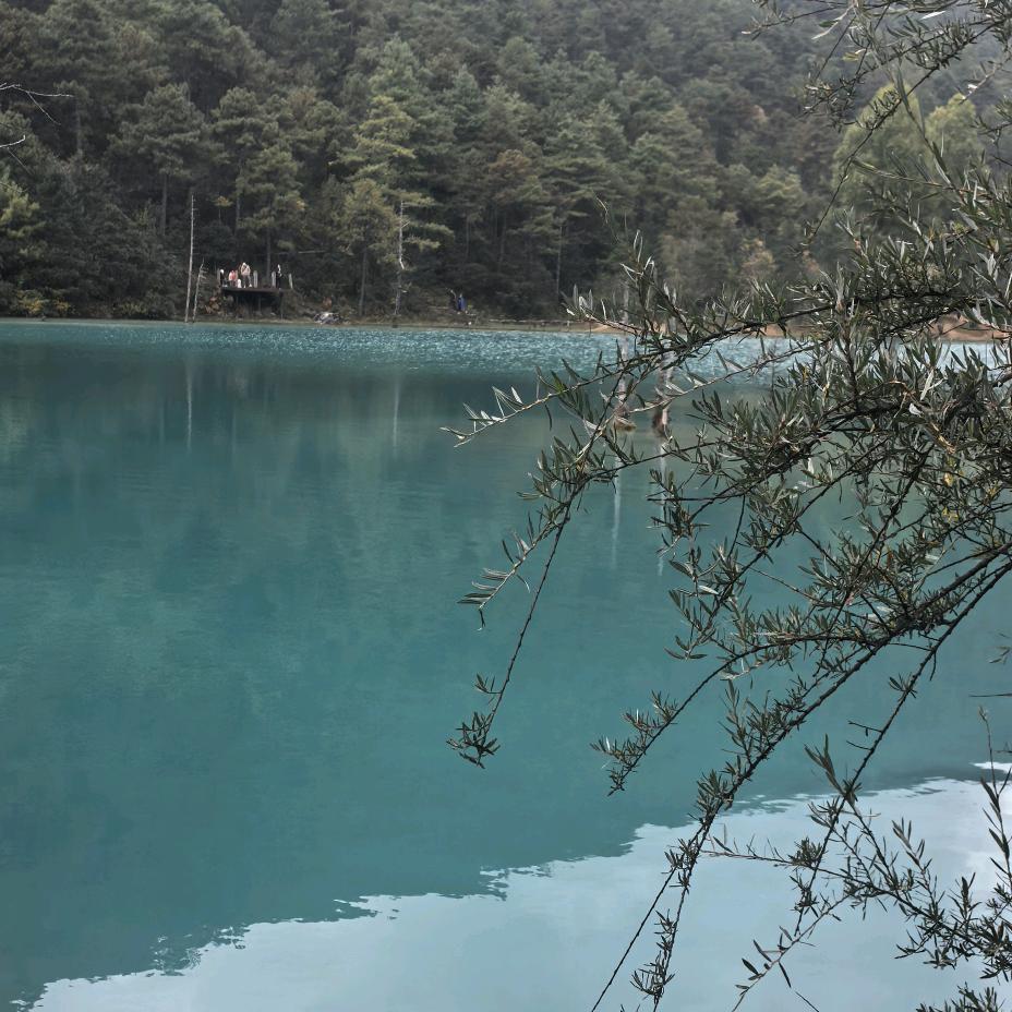 夏夏