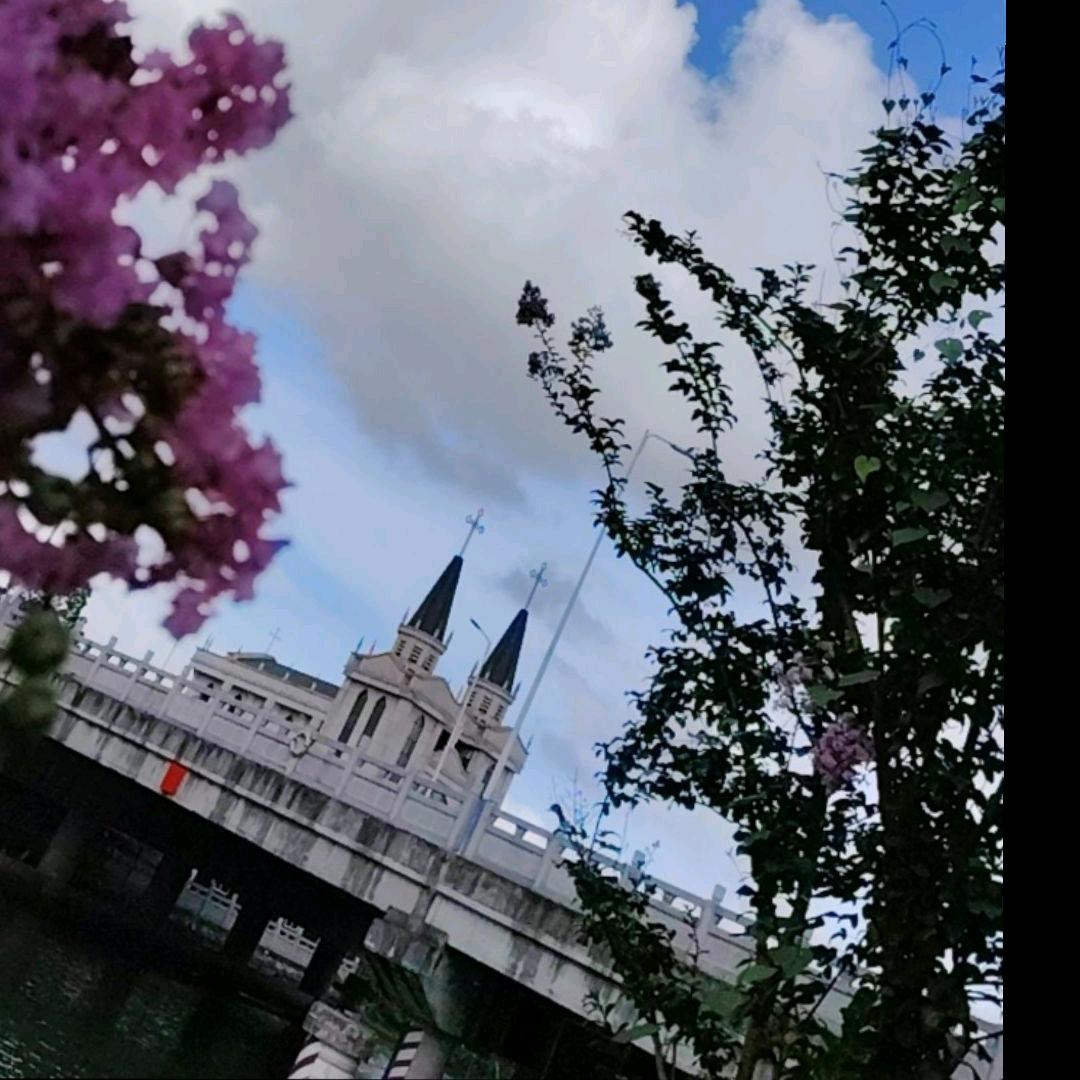 伍肆伍