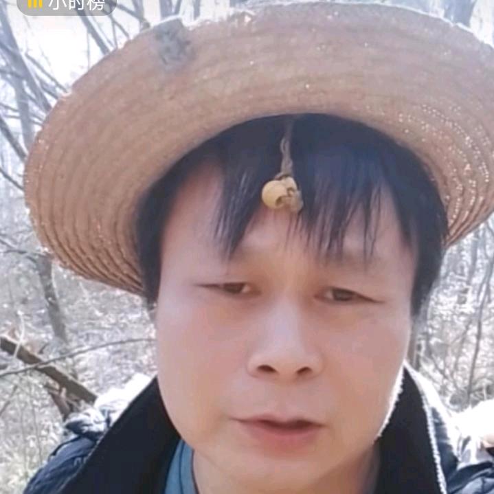 猪会飞（助力号！）