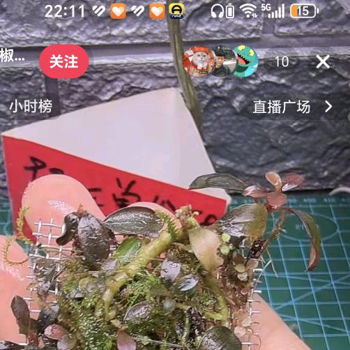 秒光