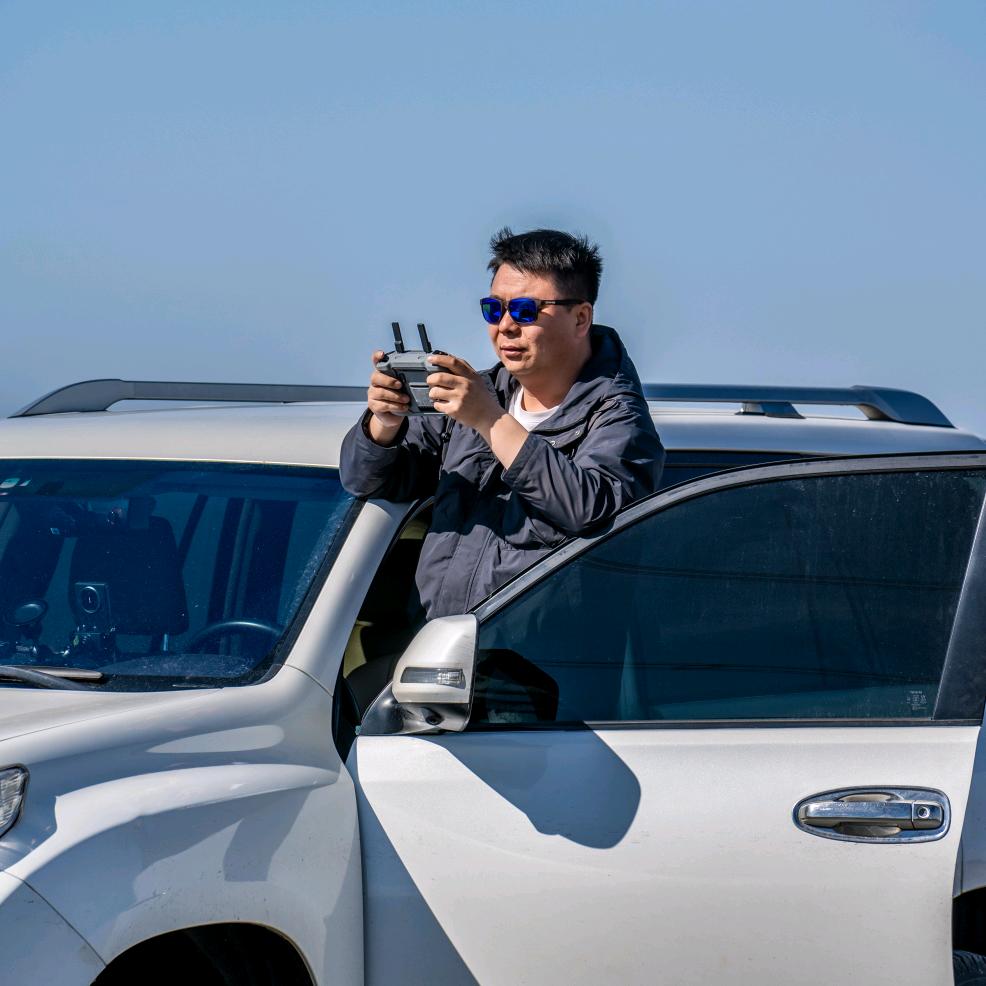 我在新疆放只羊