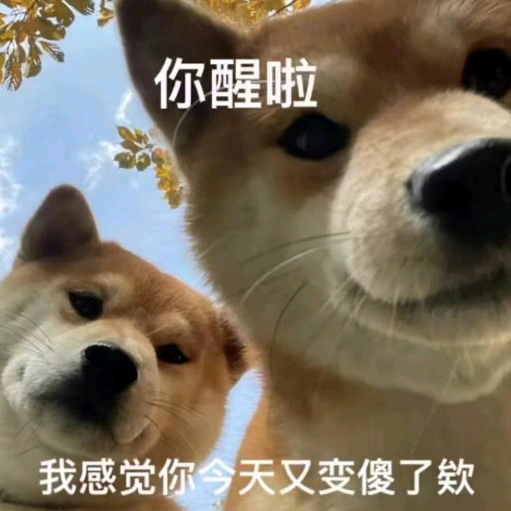 养乐多（三角洲）
