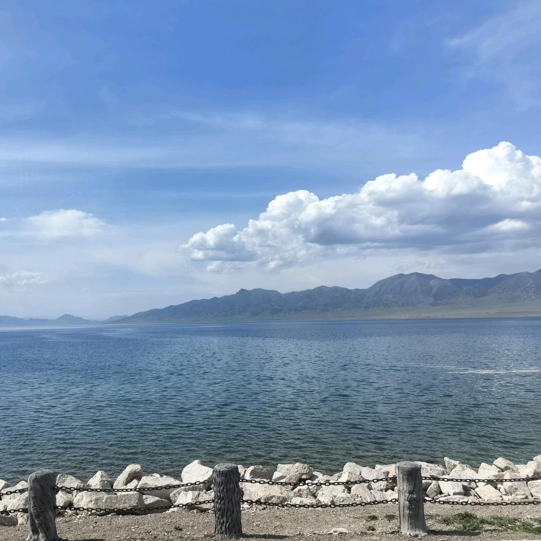加勒比海带