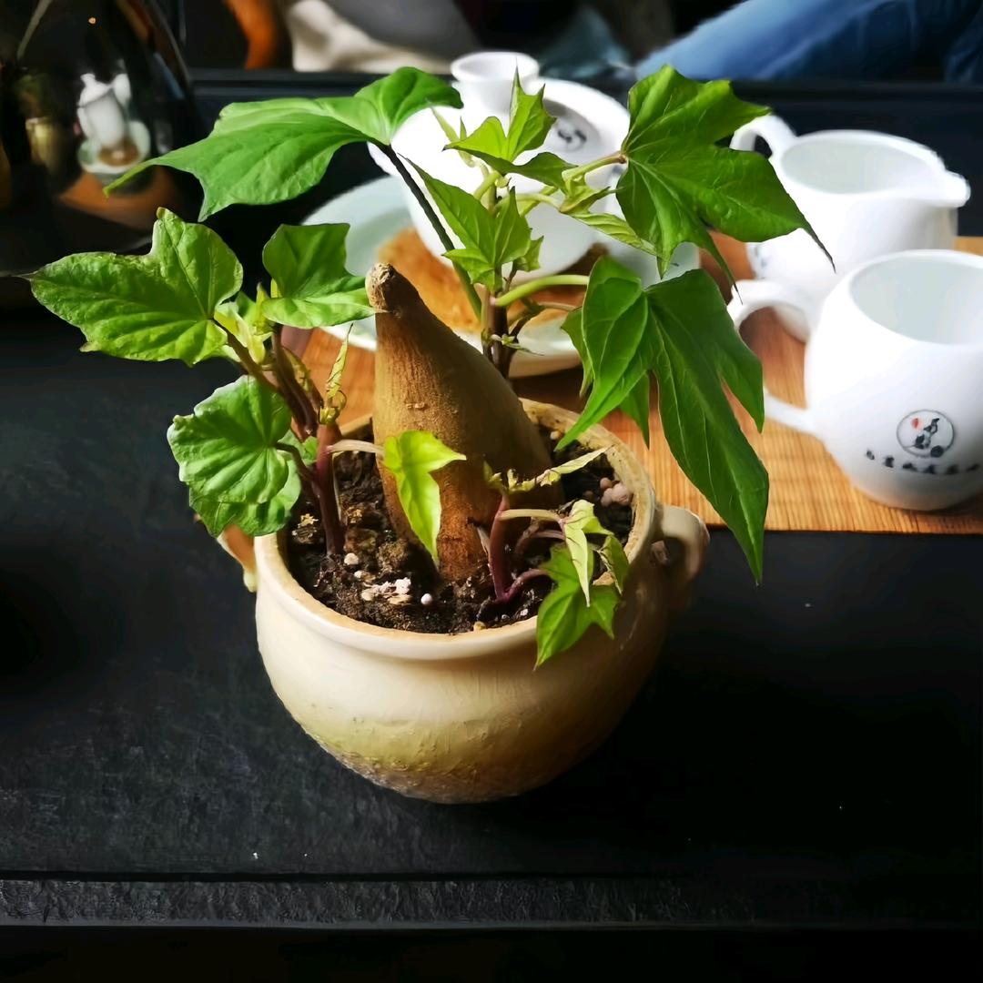 正在思考中……