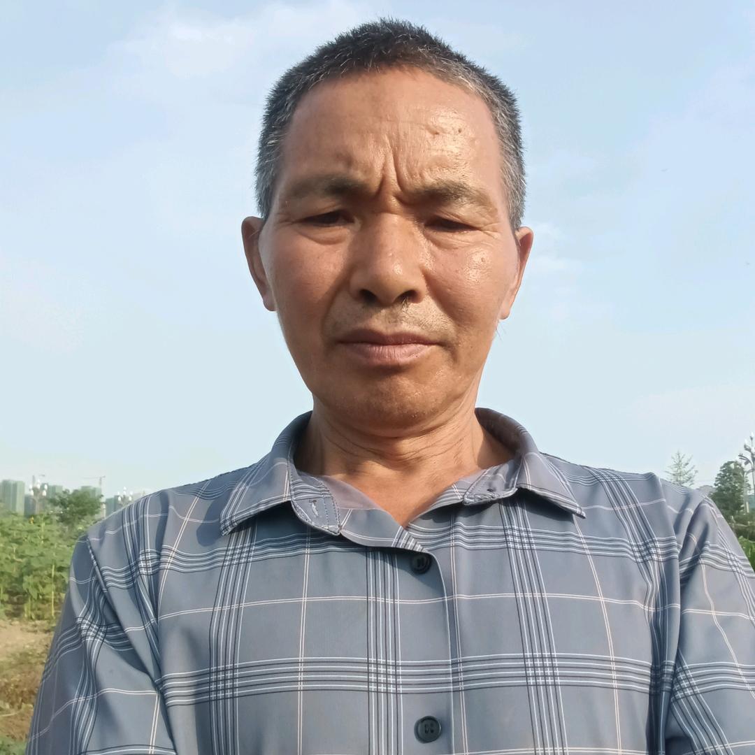 正林正能量
