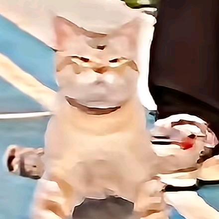 卢亭🐟