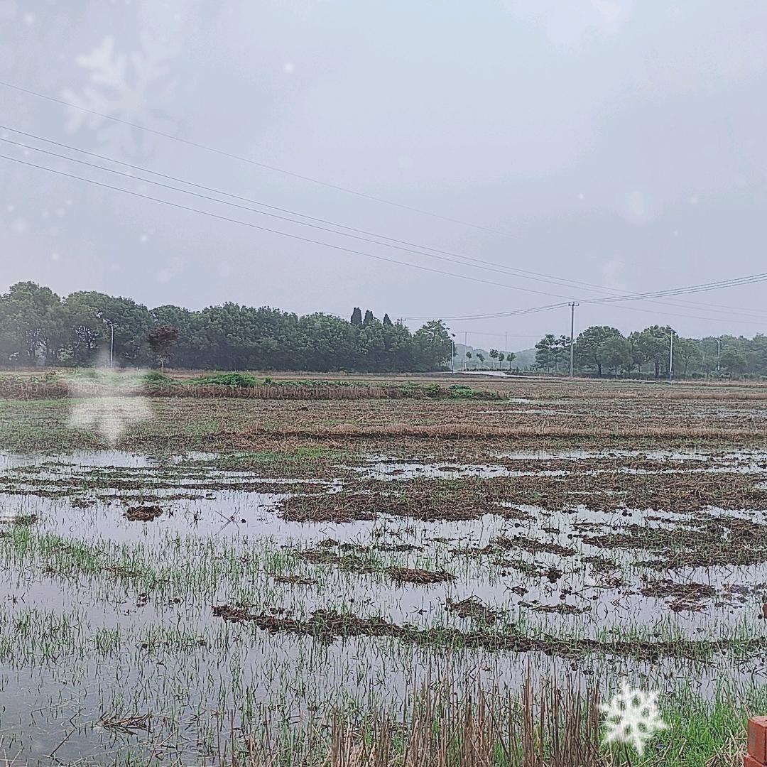 梦已醒