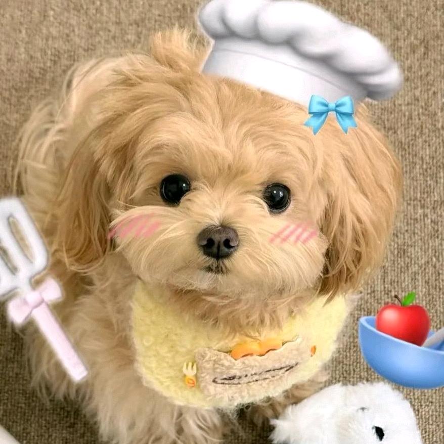 翻斗花园张小丽