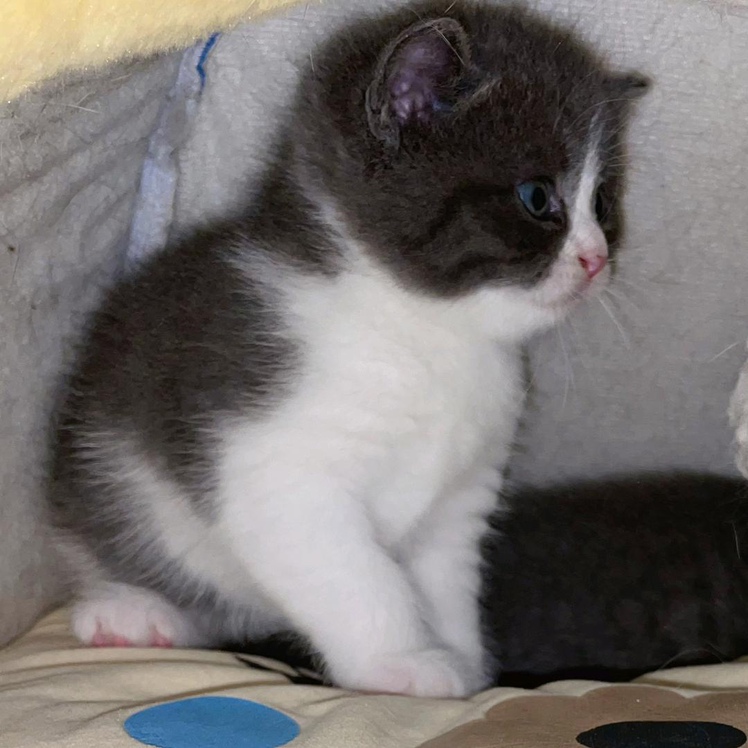 王灿烂是酷girl♥