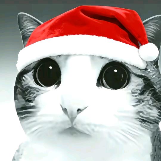 孤独的美食八(排球版)