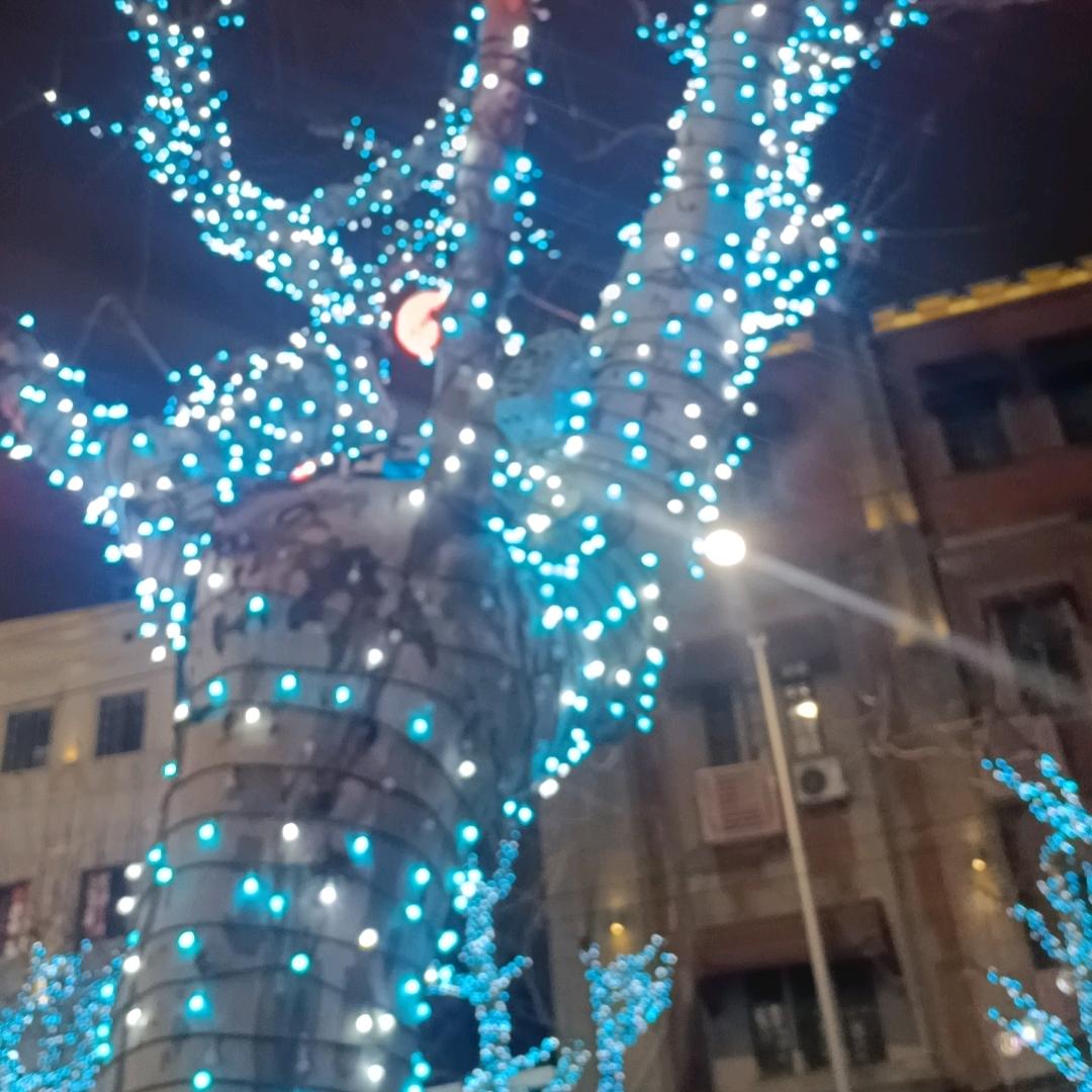 徐疯子