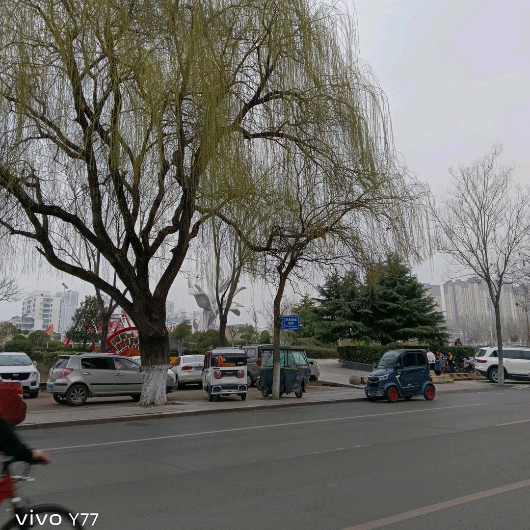AA勇者之心