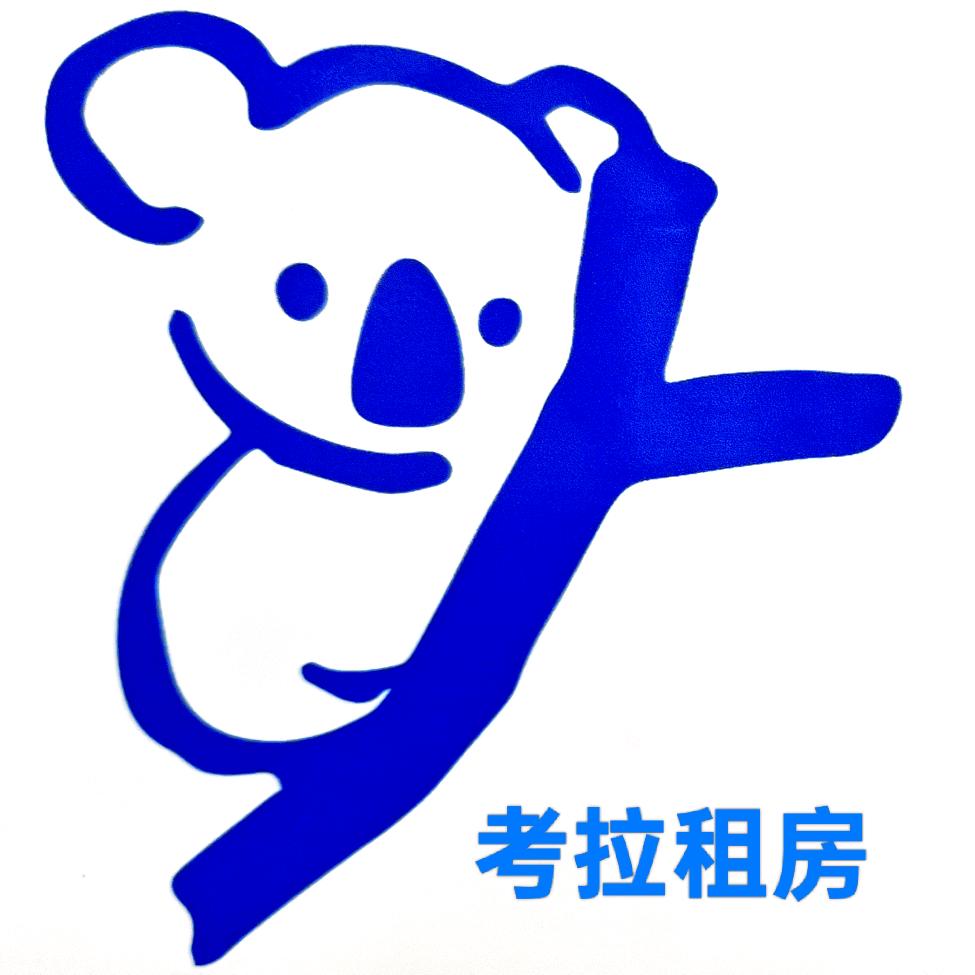 阿霖是个小部长