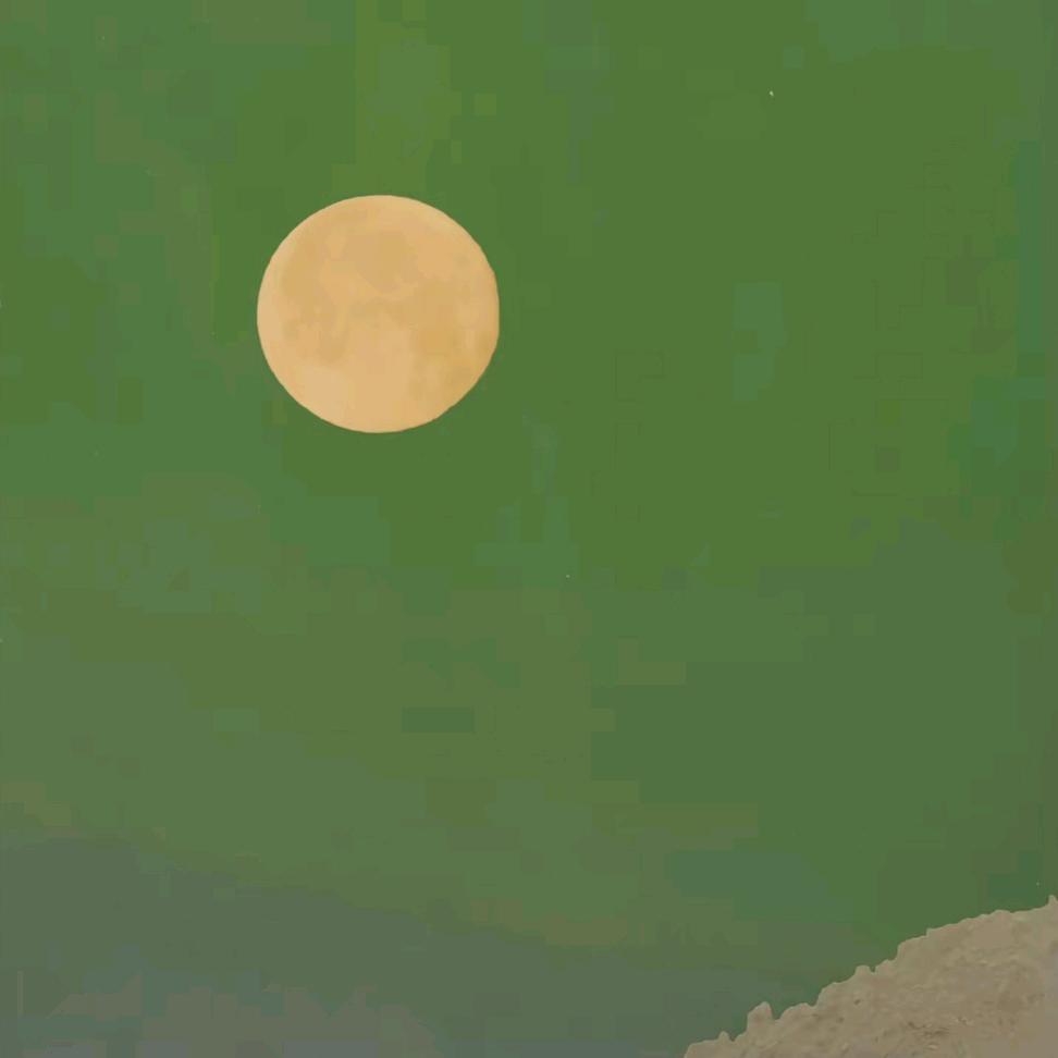 叶无痕🌱