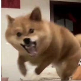 你你你你不讲道李