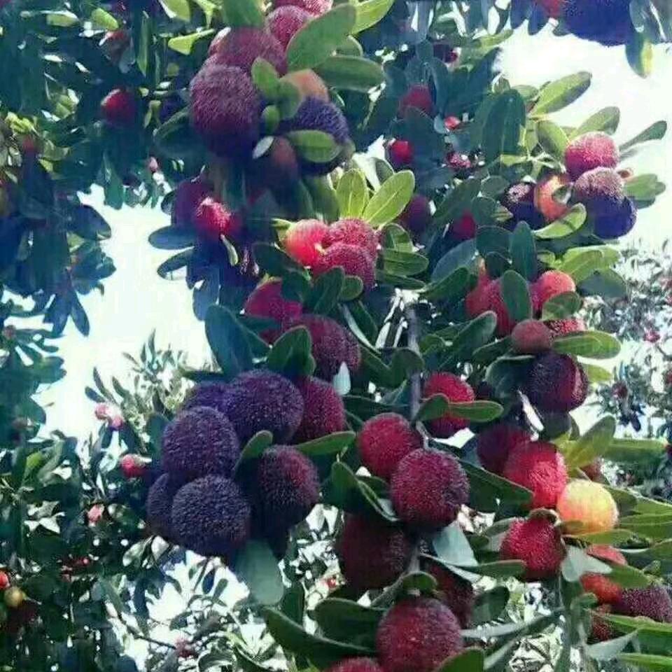 开心过好每一天