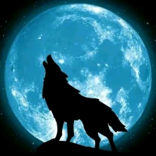 ༄༊࿆你ོྂཾ࿆࿐